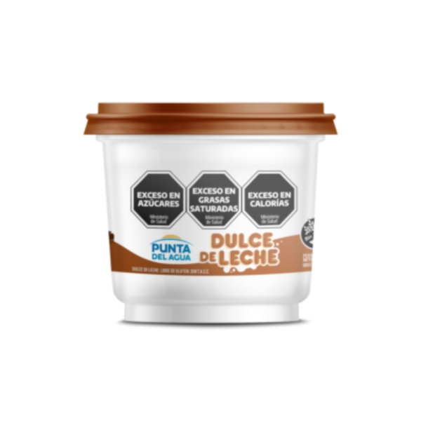 DULCE DE  LECHE PUNTA DE AGUA x 250 g