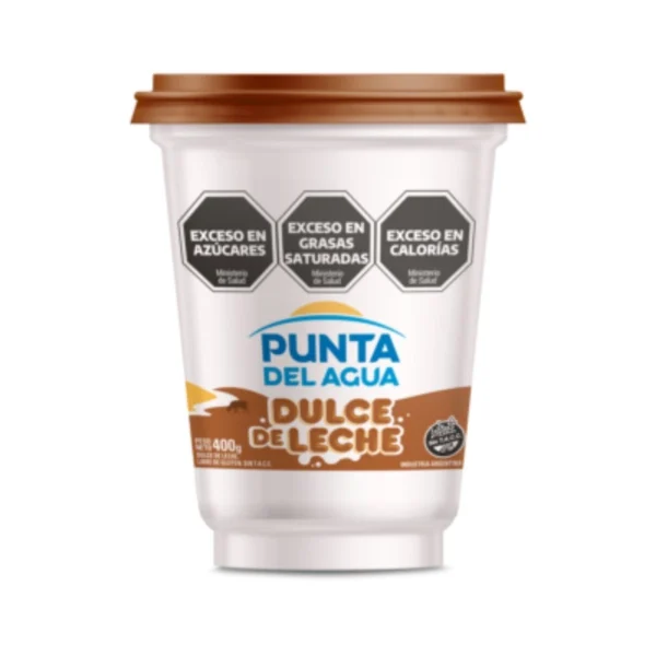DULCE DE LECHE PUNTA DE AGUA x 400 g