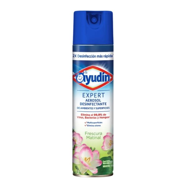 DESINFECTANTE AEROSOL EXPERT FRESCURA MATINAL AYUDÍN x332 cc