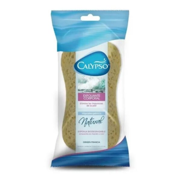 ESPONJA P/BAÑO CALYPSO EXFOLIANTE CORPORAL(24)