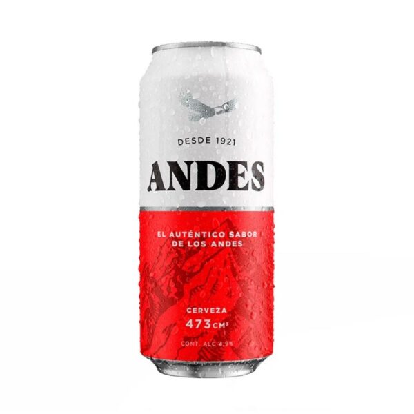 ANDES LATA RUBIA 473ML (6)