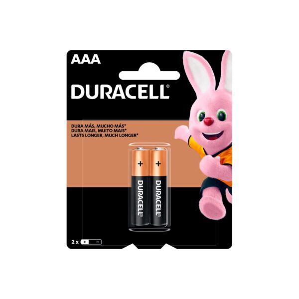 PILAS DURACELL AAA EL PAR (6).